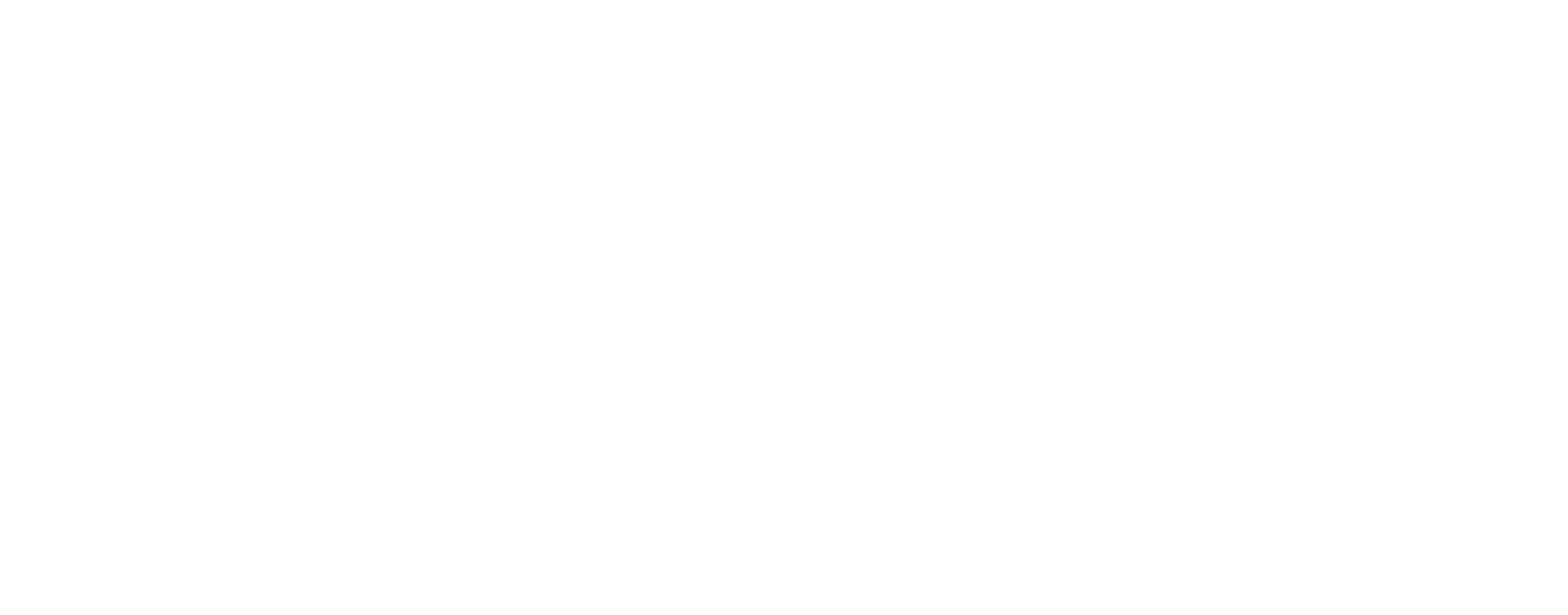 logo_saxion_uas_white