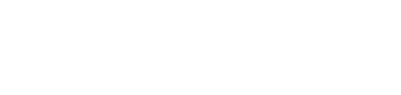 logo_via_white
